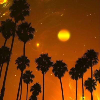 江南体育手机app下载截图