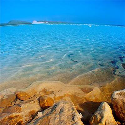 500购彩登录大厅