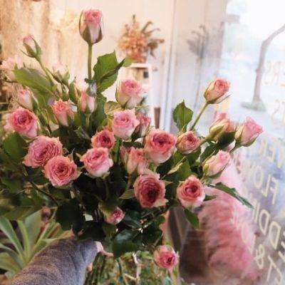 澳门威尼斯人软件