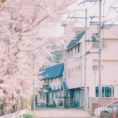 半岛手机综合体育官方下载