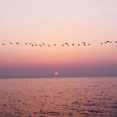 江南体育手机app下载