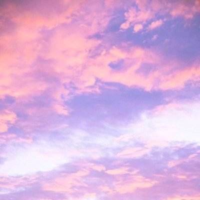 2023澳门资料大全正版下载手机版