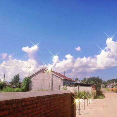 365平台下载手机app下载